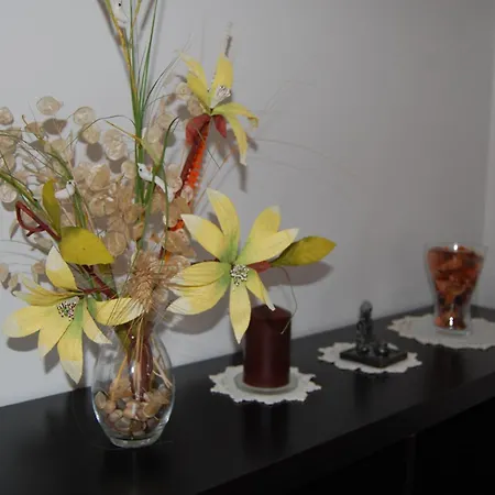 La Casa De Lines Апартаменты Монфорте-де-Лемос